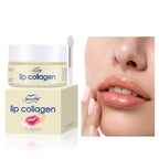 LipBloom Lip Mask
